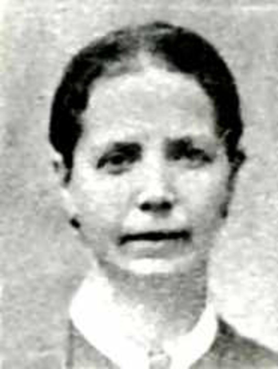 Sarah Hannah Taberer (1842 - 1877) Profile